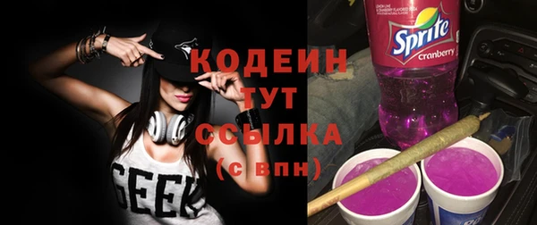 дживик Белокуриха