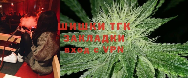 дживик Белокуриха